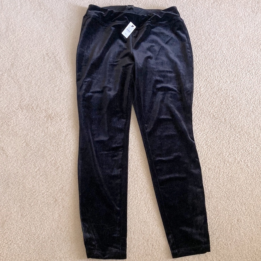 Talbots Velvet Feel Leggings